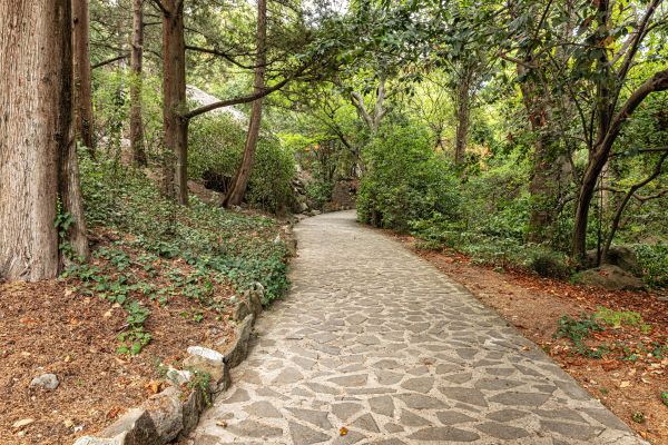 Stone Walkway Repair in Easton